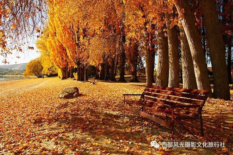 帝国：全面战争
