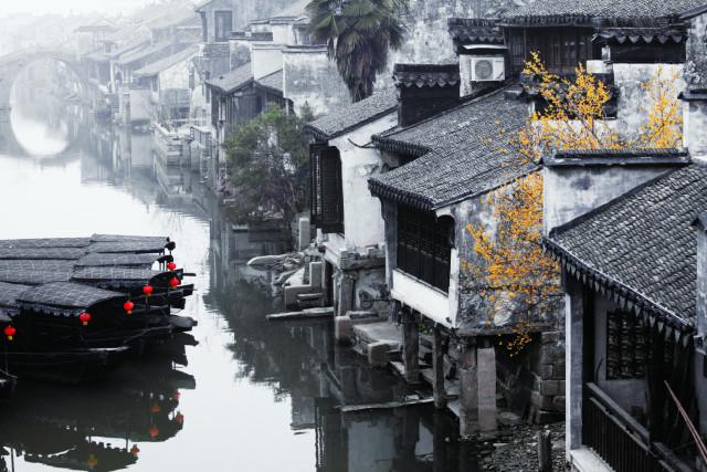 救援可爱的狮子